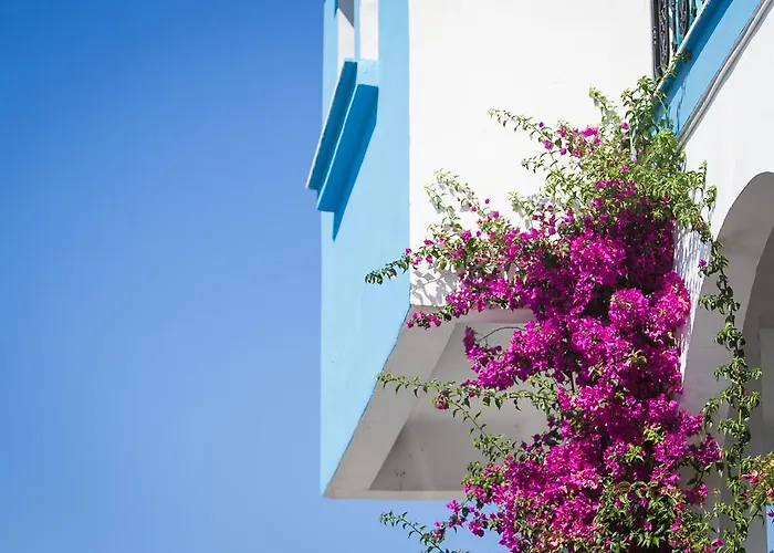 Sonia Village Apartahotel 3*